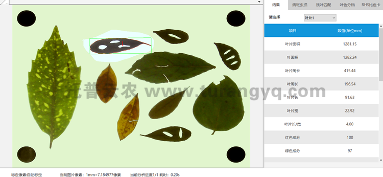 葉面積葉長(cháng)葉寬測量